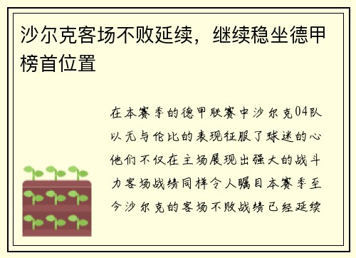 沙尔克客场不败延续，继续稳坐德甲榜首位置