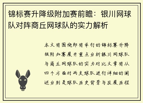 锦标赛升降级附加赛前瞻：银川网球队对阵商丘网球队的实力解析