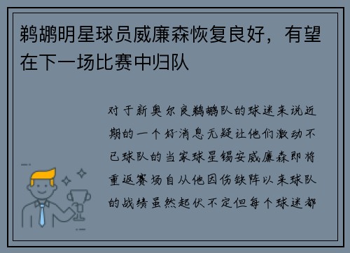 鹈鹕明星球员威廉森恢复良好，有望在下一场比赛中归队